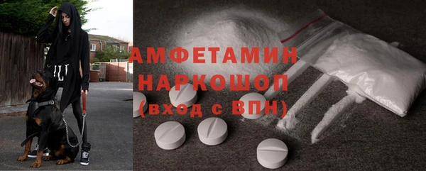 прущие грибы Заволжье