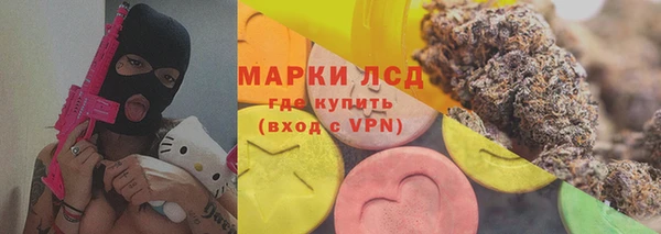 прущие грибы Заволжье