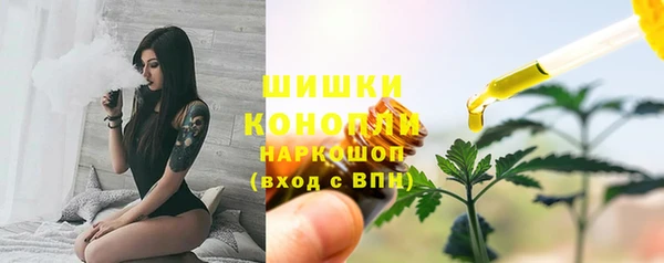 Альфа ПВП Елизово