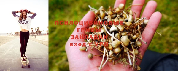 mdma Заводоуковск