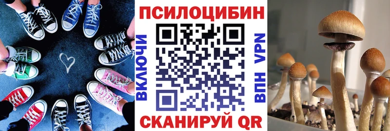 купить закладку  Саки  Галлюциногенные грибы Psilocybine cubensis 